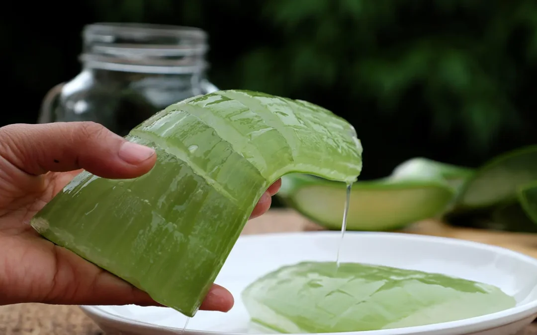 Discover Best Organic Facial Treatment Melbourne